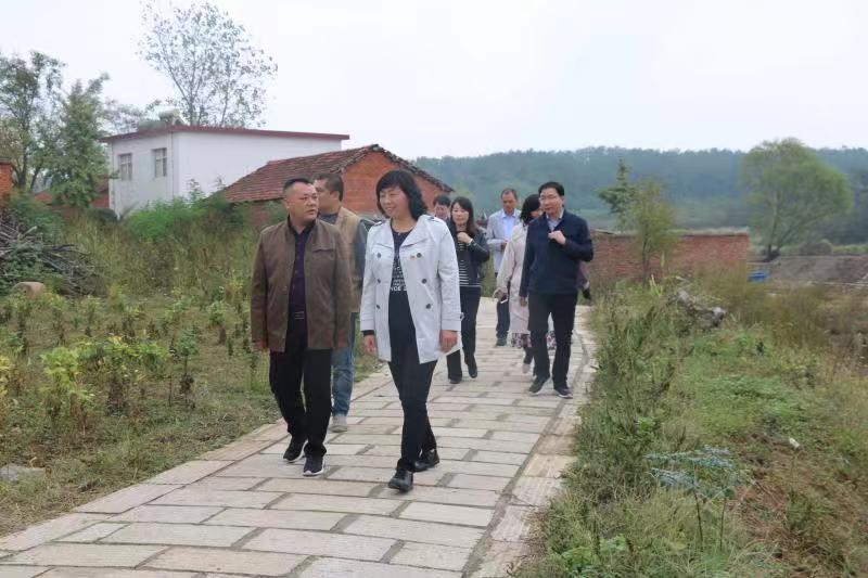 皇冠体体育官网